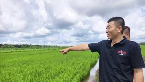 （乡村行·看振兴）嫩江边上的“稻蟹虾”共富经