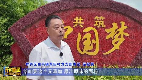 祥符区曲兴镇东田村：强党建凝民心 绘就乡村幸福图景