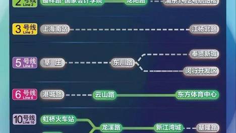 受台风“白海豚”影响 上海发布8月10日交通出行通告
