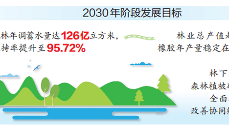 森林“四库”怎么建？这一《意见》明确了