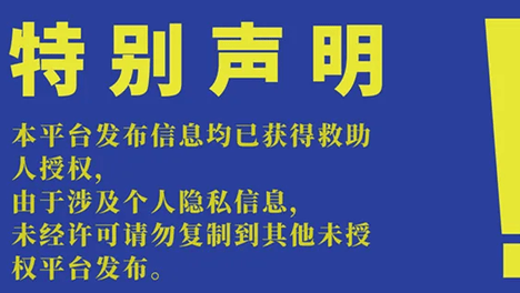 选择买不到的爱|20260903期线上领养日