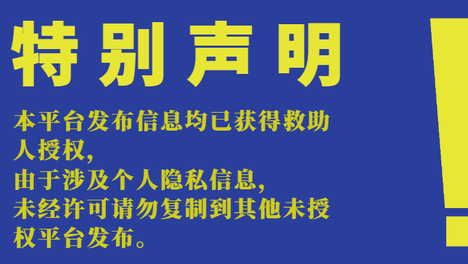 选择买不到的爱|20260928期线上领养日