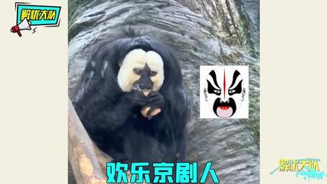 内容配图