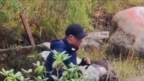 四川甘孜一景区内男子拍照被妻子嫌弃，当场情绪崩溃，扬言要从3米高台跳下，评论区成男网友大型“感同身受”现场