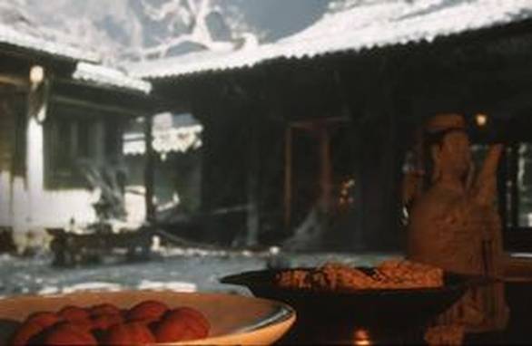 北京疾控提示预防基孔肯雅热