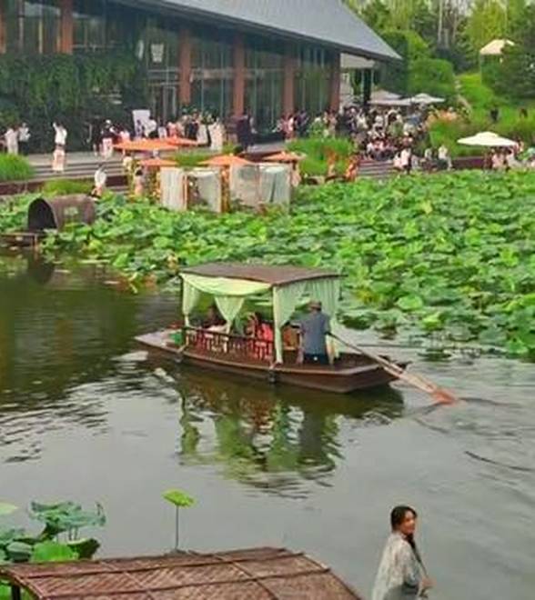视频｜荷间诗乐交织，点亮温榆河最美夏夜