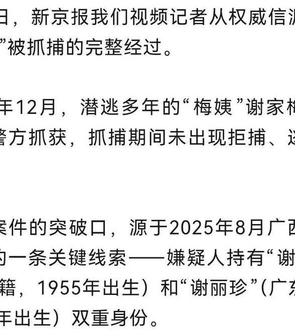 “梅姨”被捕完整经过：广西警方一条关键线索撕开她双重身份