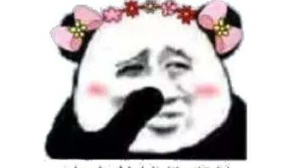 万能好用聊天表情包