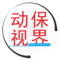 动保视界