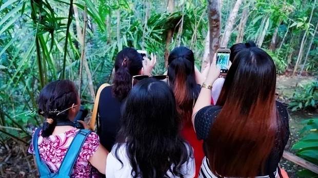 新“中国式旅游”：如果不拍照发朋友圈，旅游是不是就没乐趣了？
