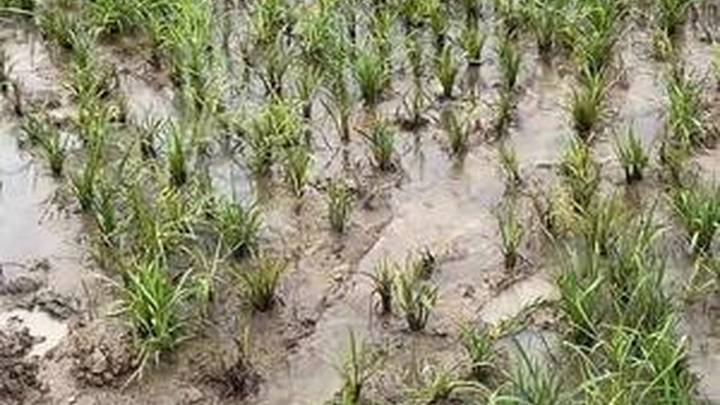 网友曝光河南潢川县泥河水污染问题后遭电话威胁，应该立案调查吗？