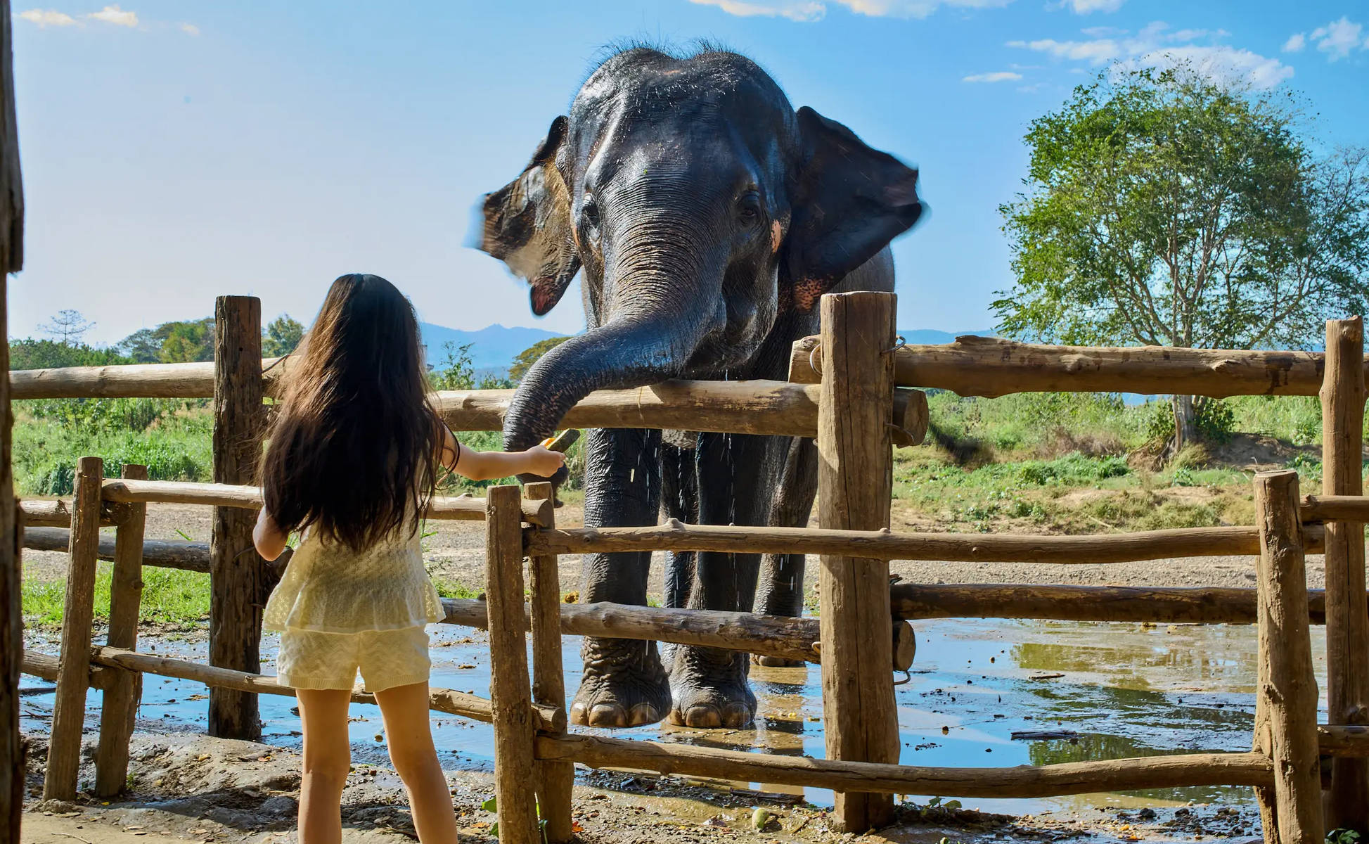 王智晒亲子游玩美照 女儿笑容天真烂漫惹人喜爱