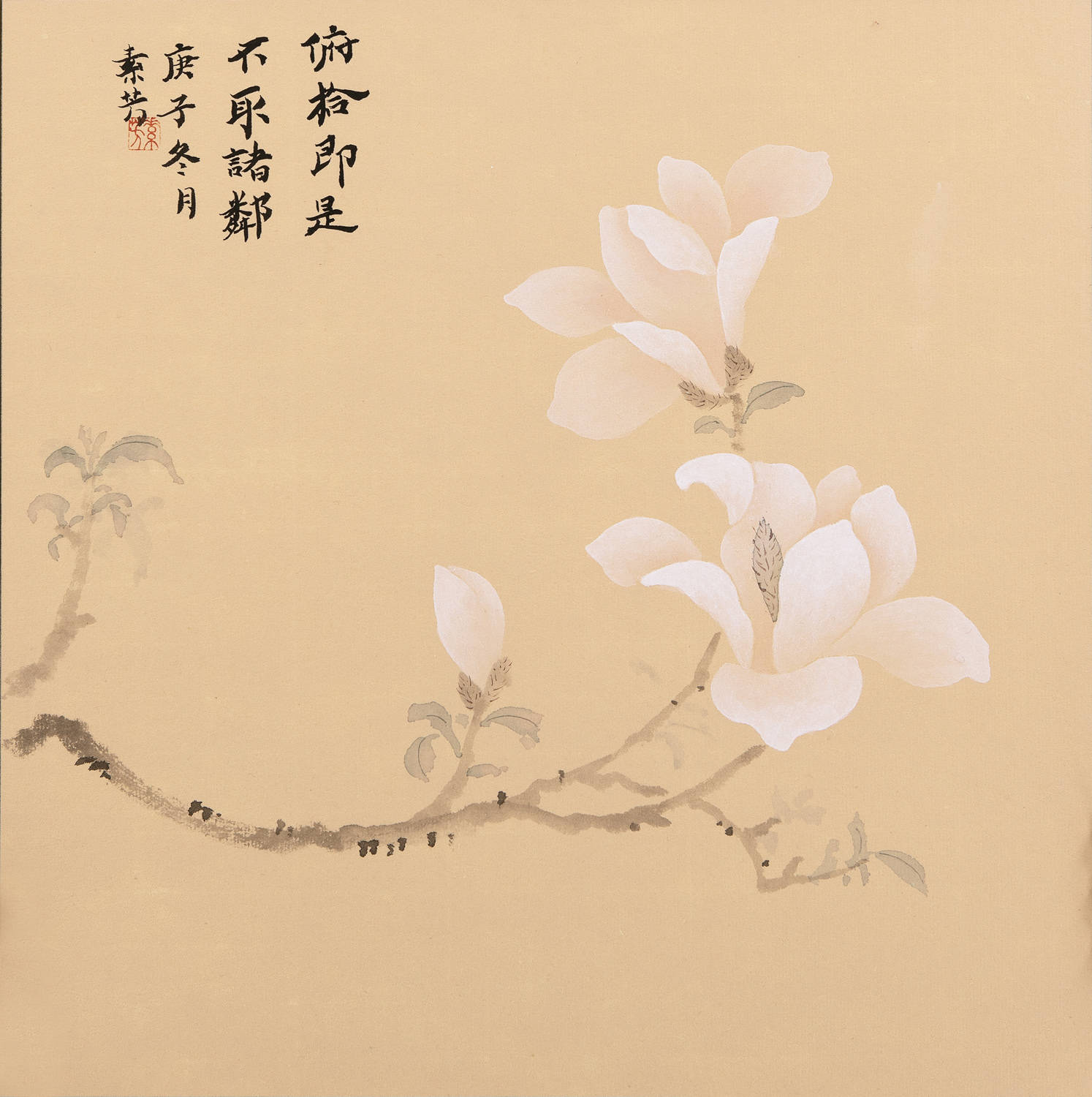 赵素芳老师:淡雅优美画作,艺术水平极高-搜狐大视野-搜狐新闻