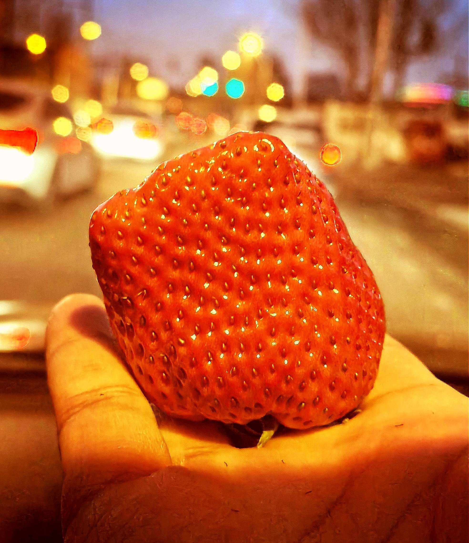 莓心莓肺 莓烦恼来自冬天的少女心_长春_发展_草莓