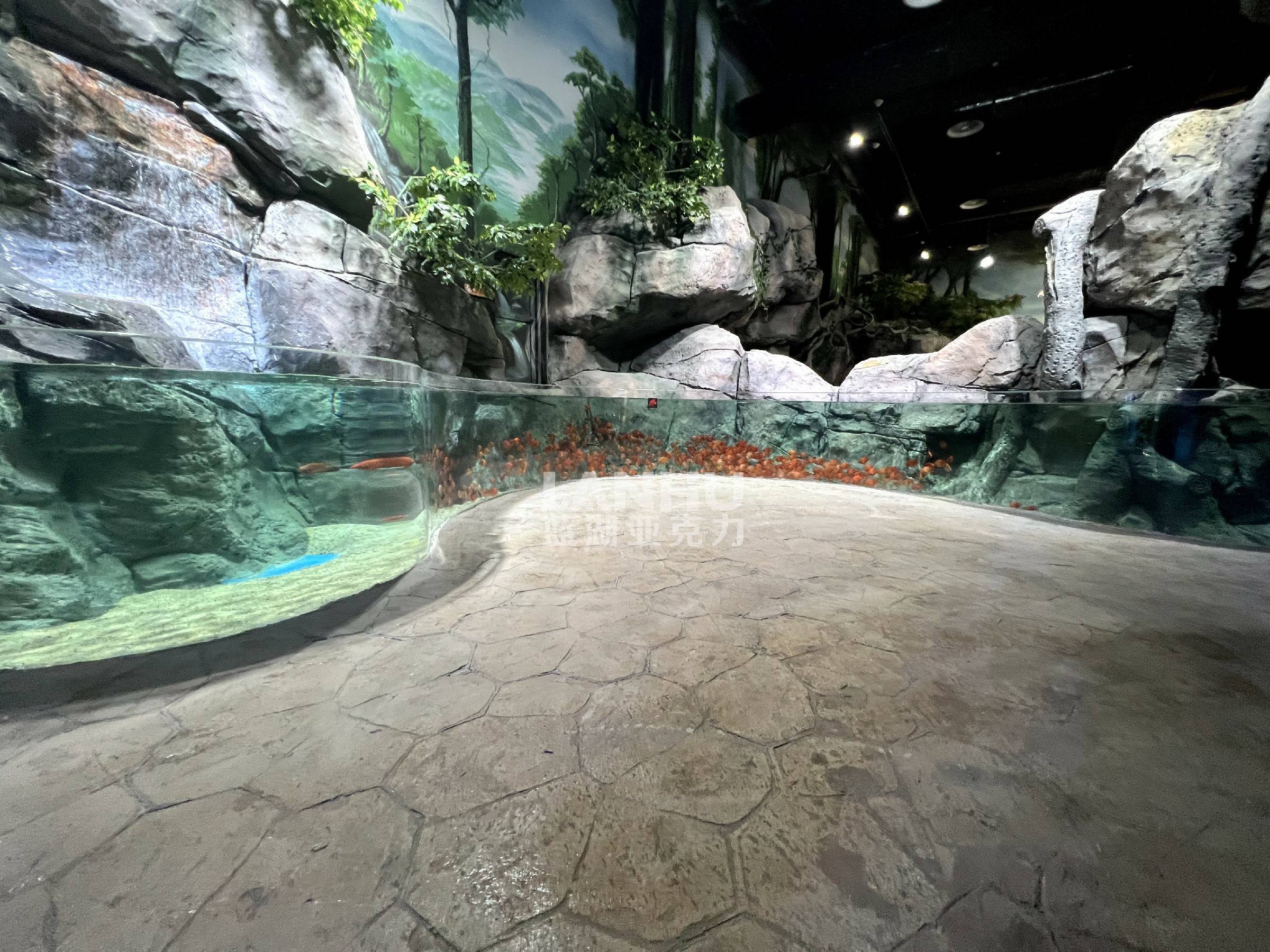 探索异形亚克力鱼缸的个性化设计