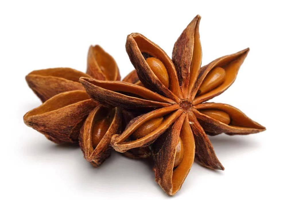 红烧系列常用的8种香料_作用_八角_肥肠