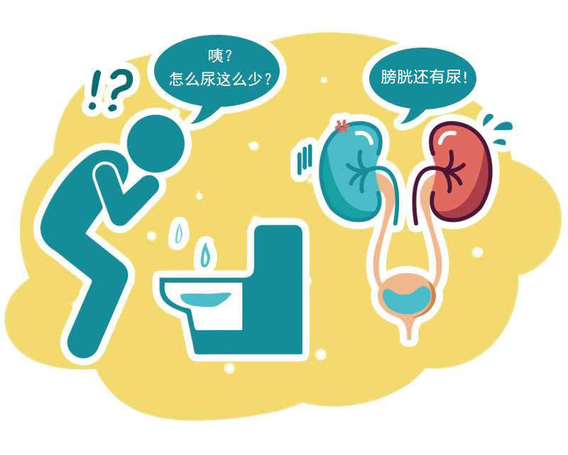 神经源性膀胱患者出现排尿与储尿障碍治疗方法不同_进行_功能_调控