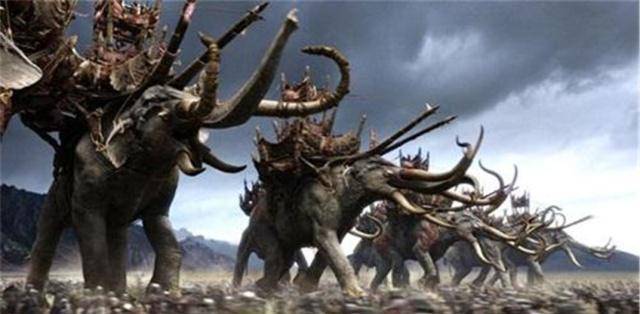 官军如何对付南蛮象兵?