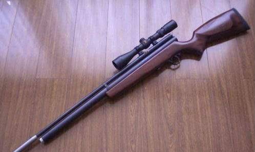 原来电影演是真的_实验_鸟枪_情况