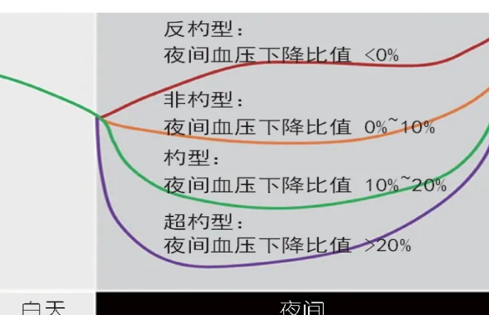 24小时血压规律图图片