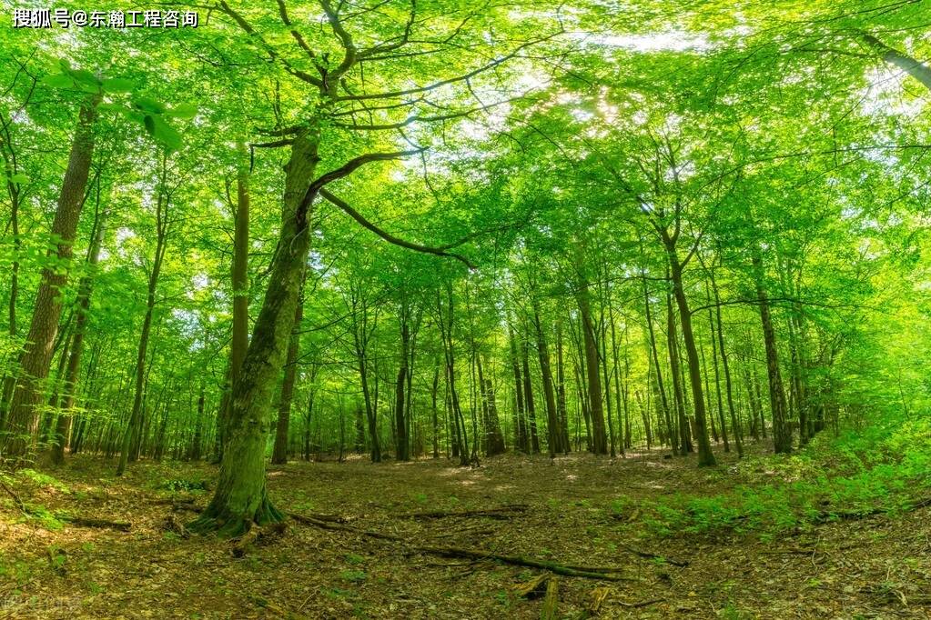 赤峰使用林地可行性報告_項目_包括_用地