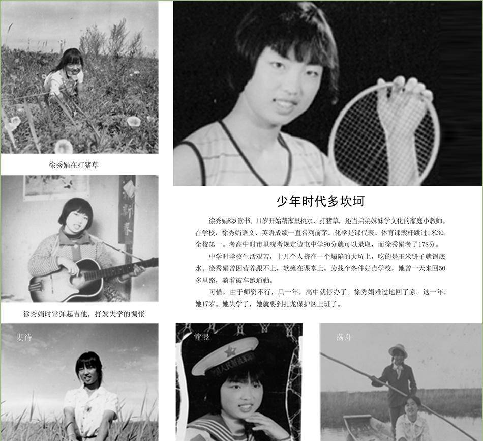 徐秀娟_丹顶鹤_自然保护区