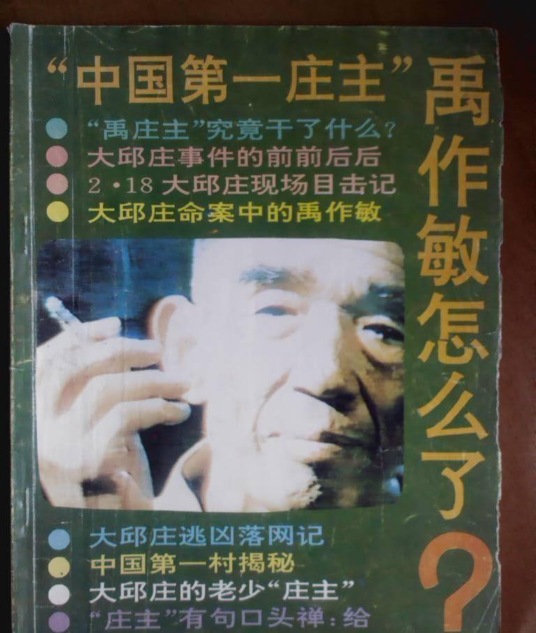 当代"土皇帝"-禹作敏的沉浮录_村民_改造_队里