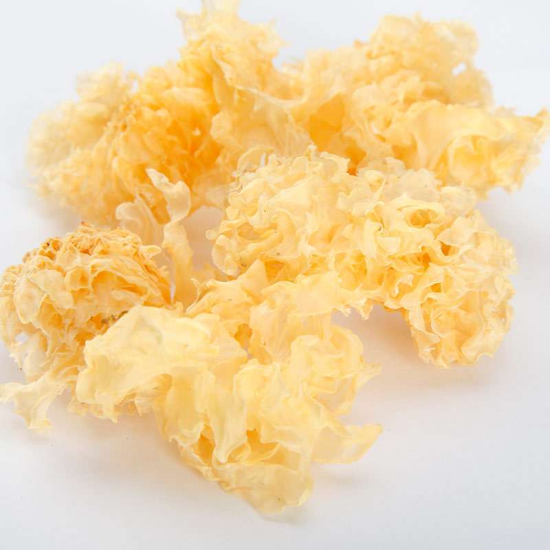 银耳提取物 银耳多糖30%