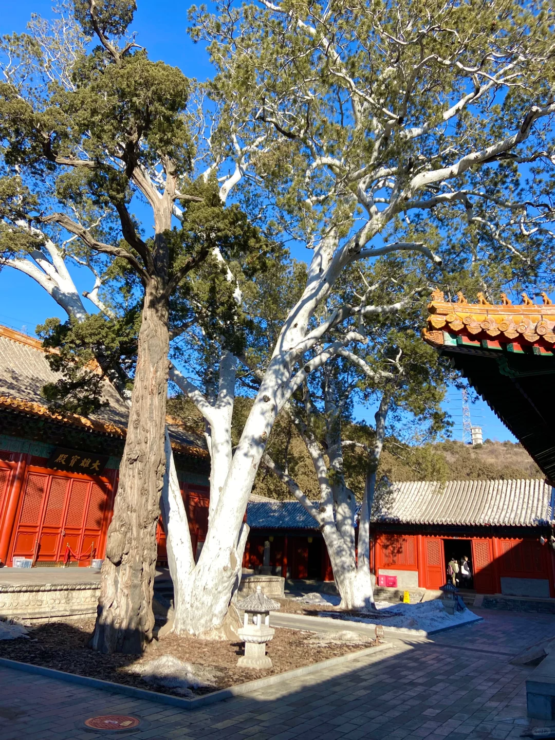 心靈之旅:京城寺廟合集_建築_寺院_歷史