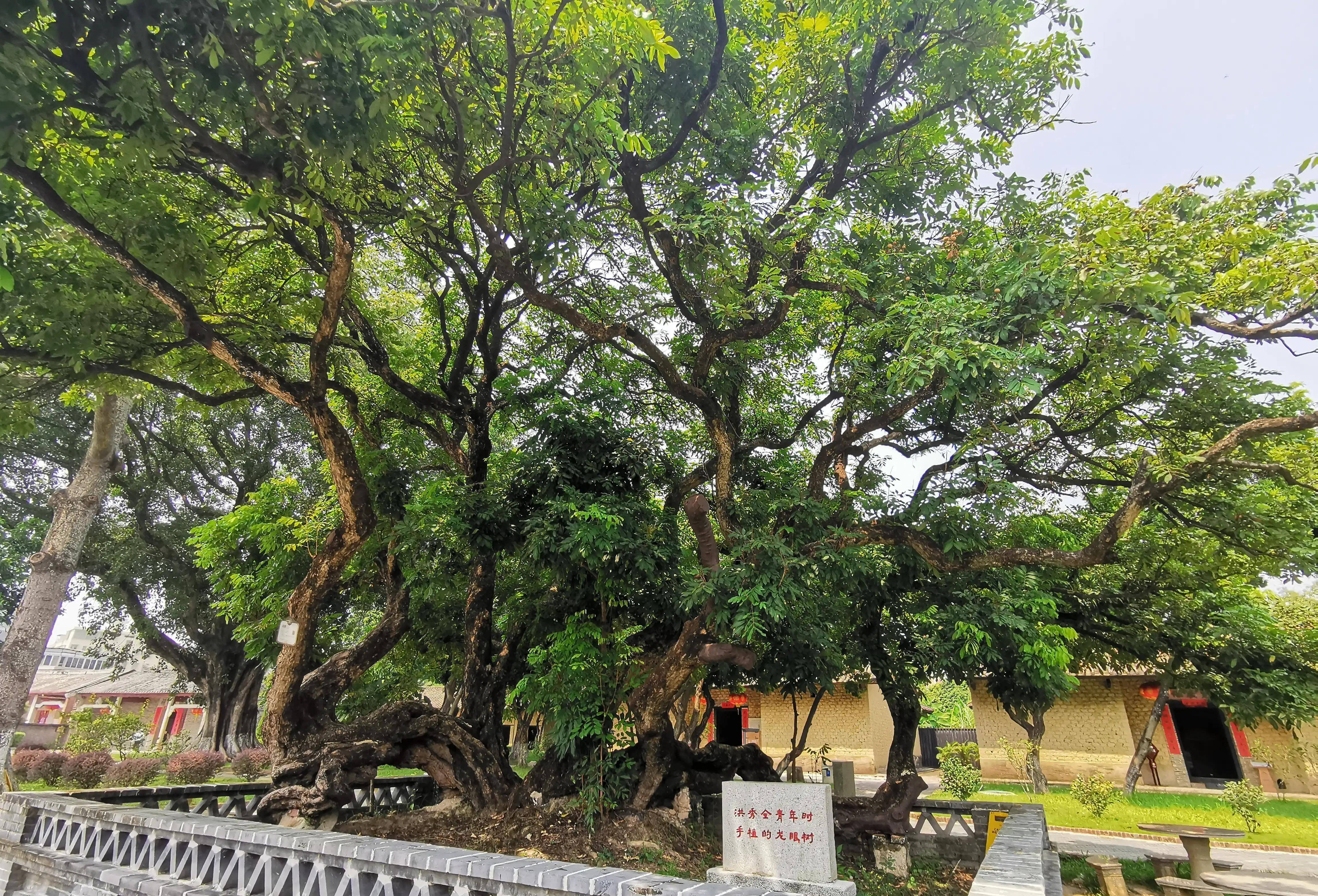 住广州花都区游洪秀全故居想太平天国事福祸相依_女人_时候_天王