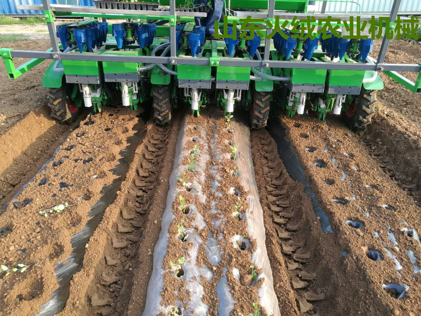 栽油菜机 蔬菜秧苗移栽机 蔬菜移植机育苗移栽机械 旱地栽植机械_种植
