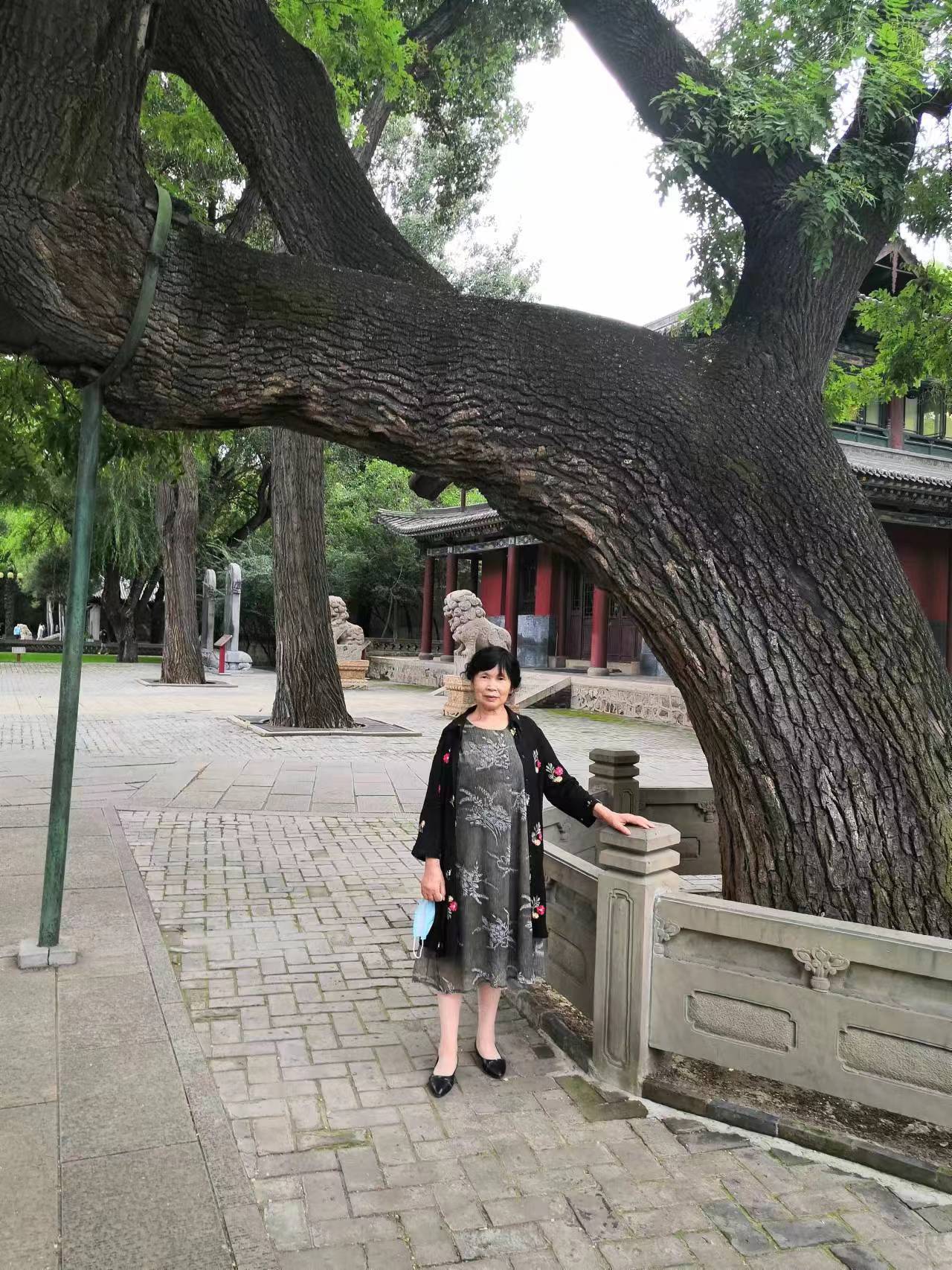 张玉琴国画作品欣赏——《龙年新春特刊》美书美画迎!