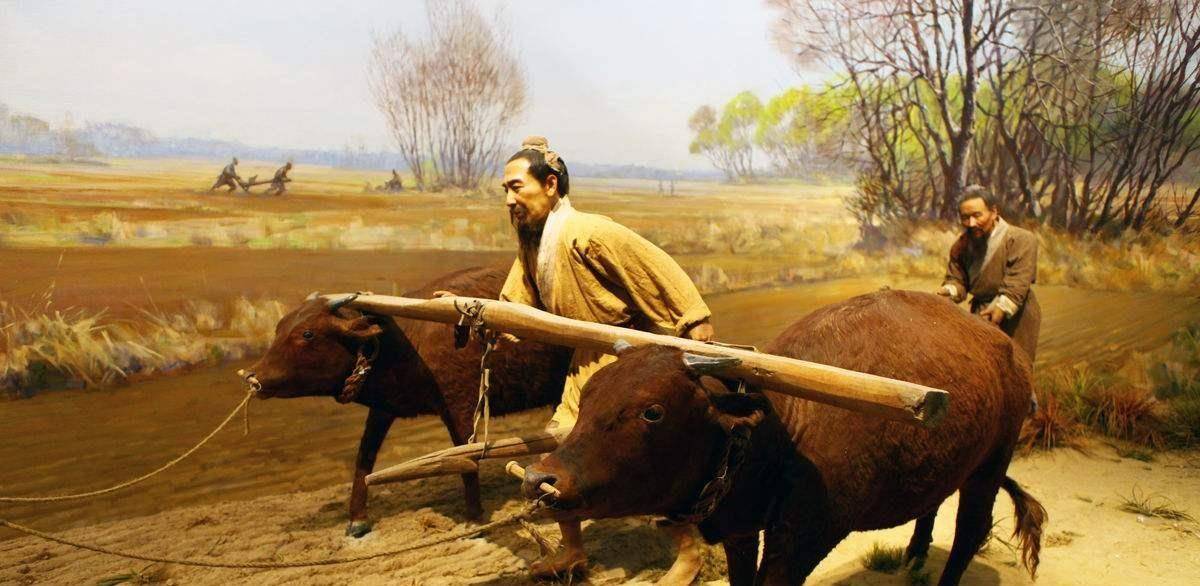 土地兼并问题:中国古代社会未能解决的顽疾_东汉_方案