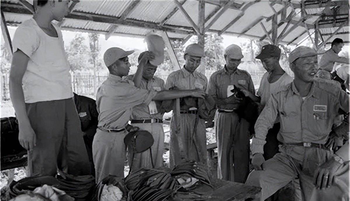 那些流亡异国打出一片天地的铁血战士们-史上三大异域