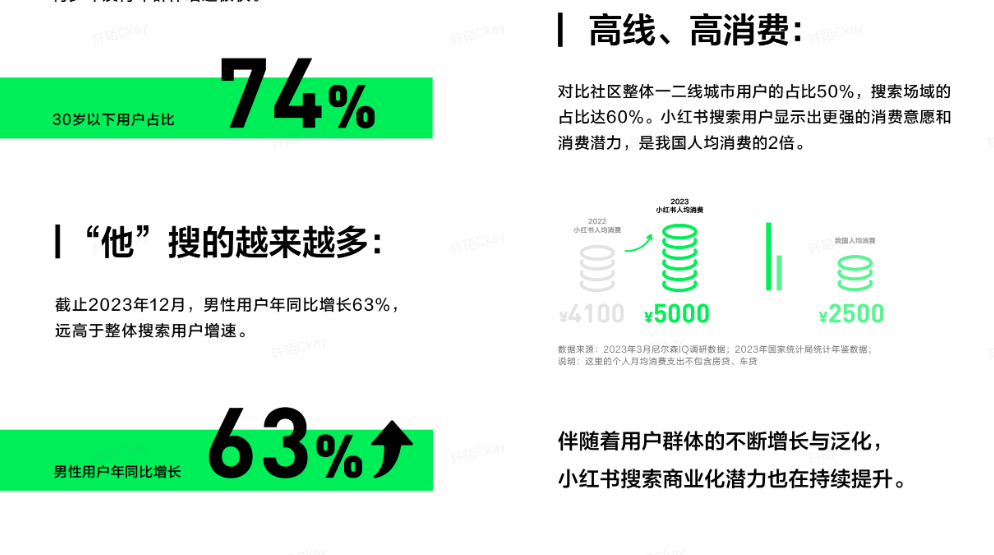 2024小红书搜索用户画像解析