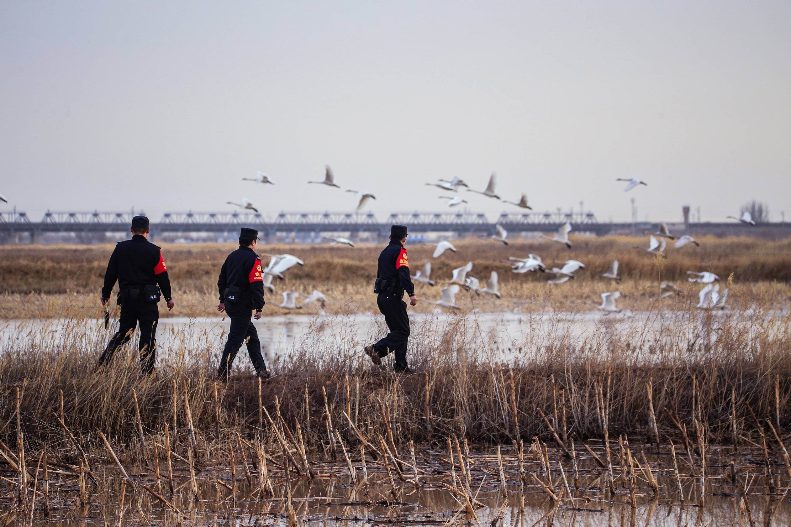 作者;包头铁路公安处 魏清宁 摄  故事:为确保春运沿线治安秩序良好
