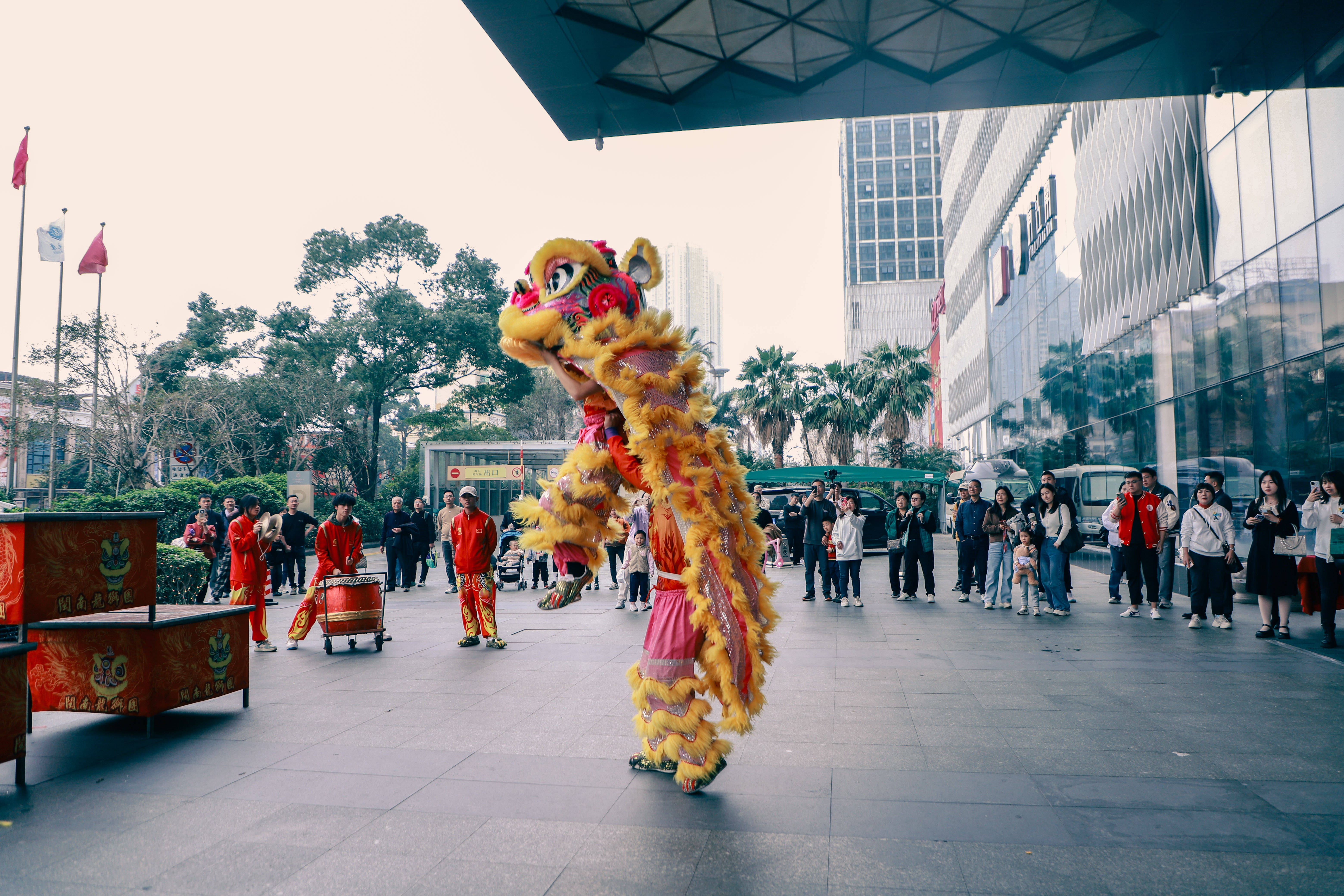 醒狮点睛仪式图片