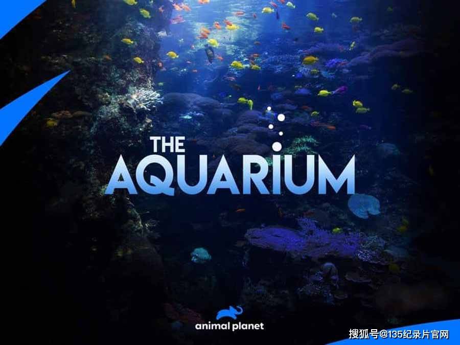 《佐治亚水族馆 the aquarium》第1-2季纪录片解说素材全18集中字