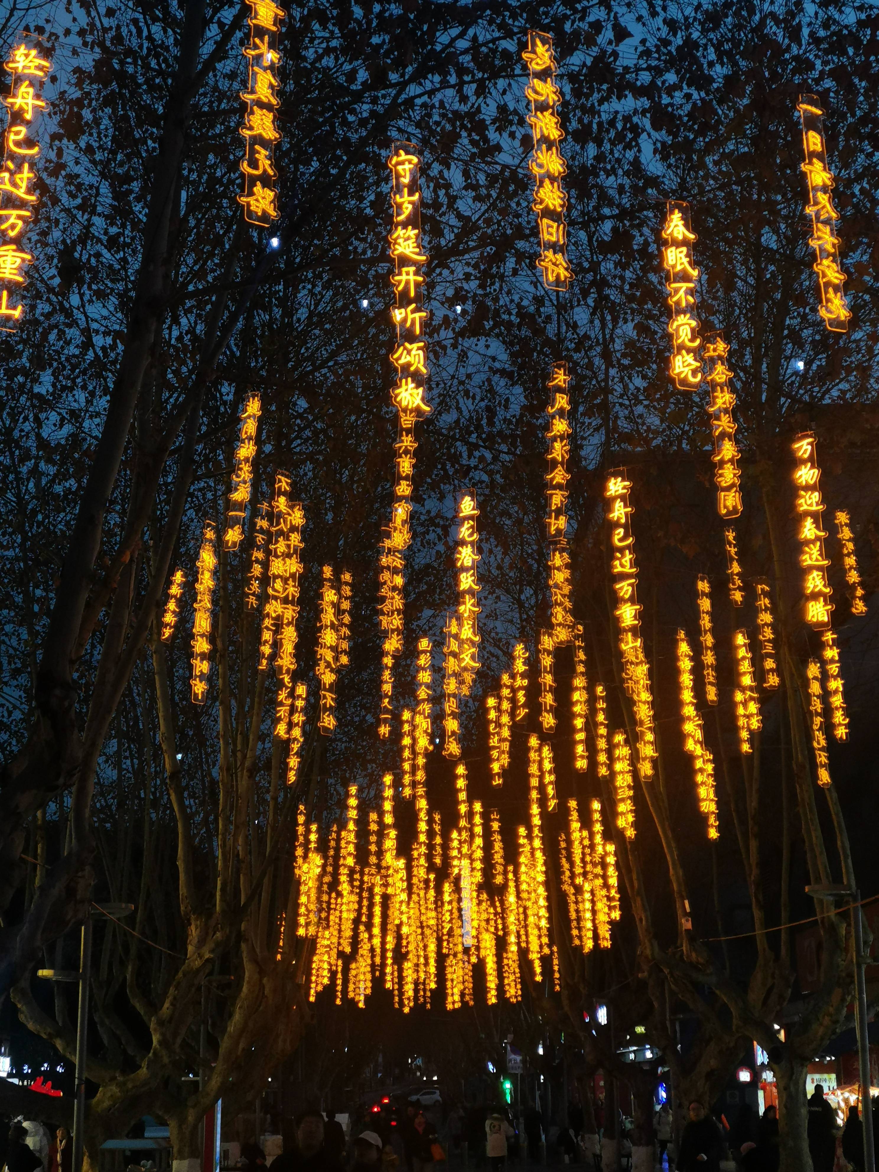 东风夜放花千树