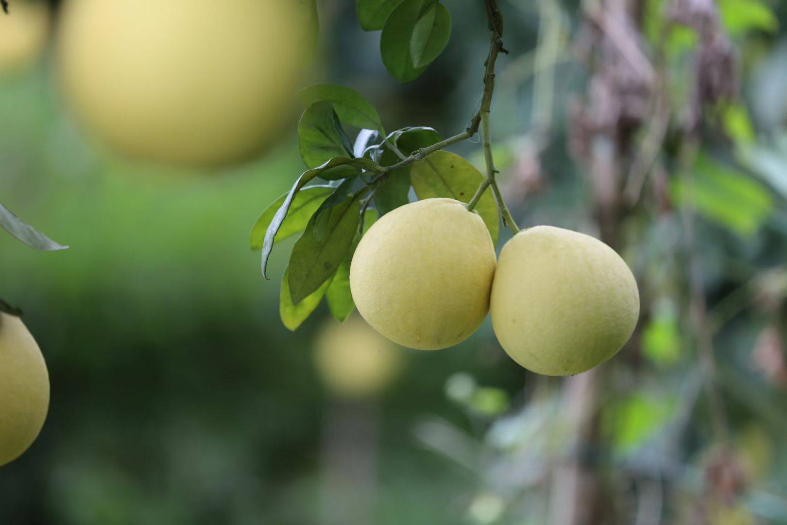 环境_能力_生活