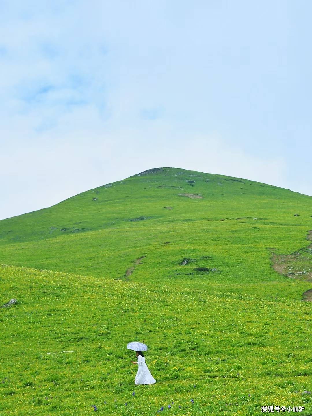 偶遇盲盒旅行搭子|成都周边1日游|踏春赏花徒步穿越