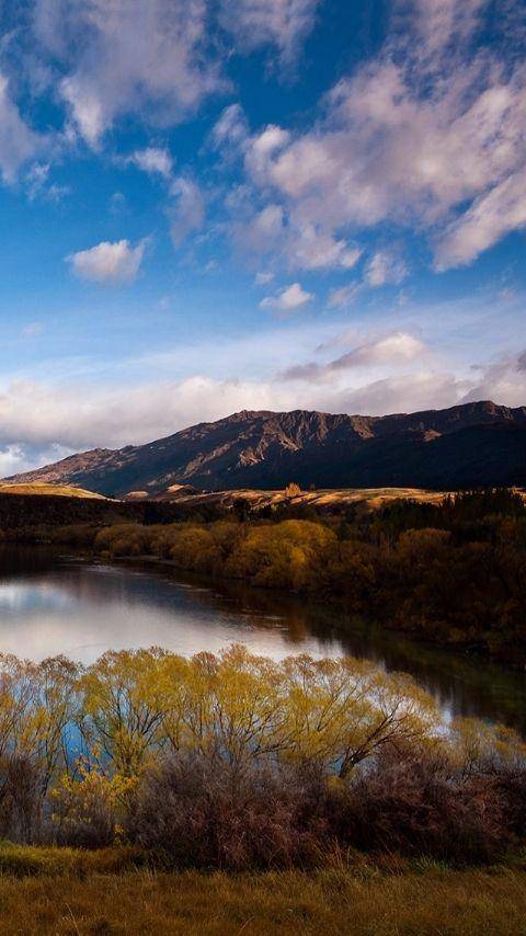 波多黎各是哪个洲的国家_合作_技术_科技