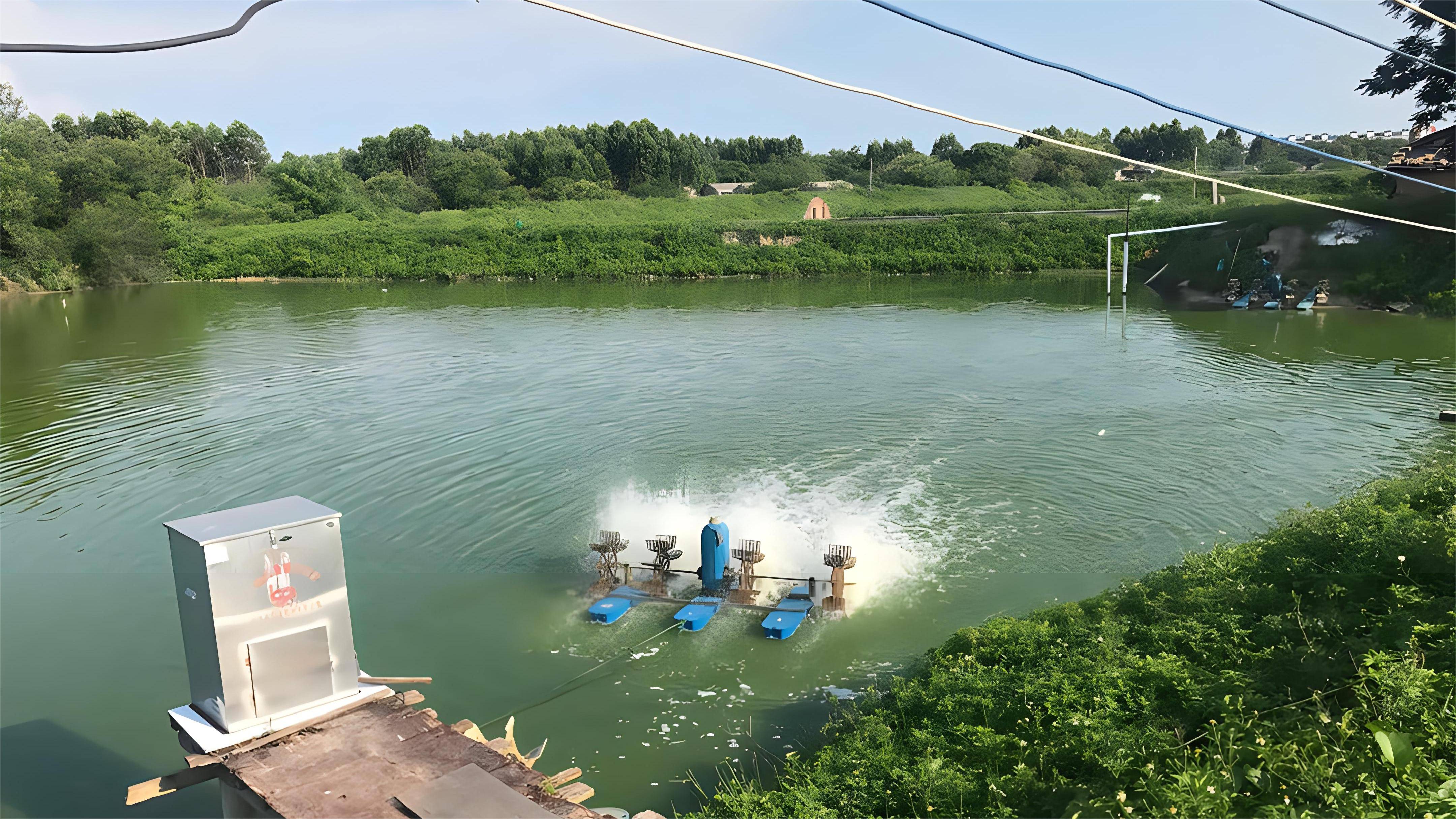 鱼塘水质发臭变黑是什么问题?鱼塘水发黑怎么办?