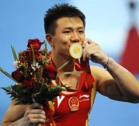 尽管在2012年伦敦奥运会上,陈一冰在吊环项目上未能夺金,但他那完美的
