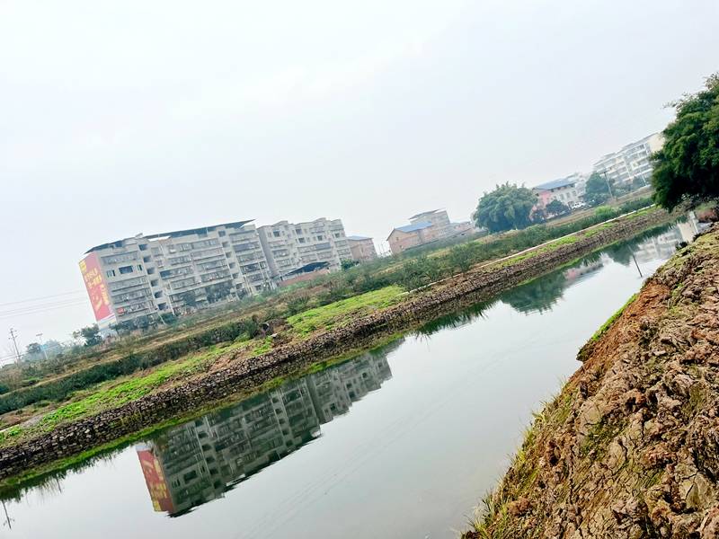 江津区朱杨镇桥坪村:高质量推进农村黑臭水体治理 夯实筑牢乡村振兴