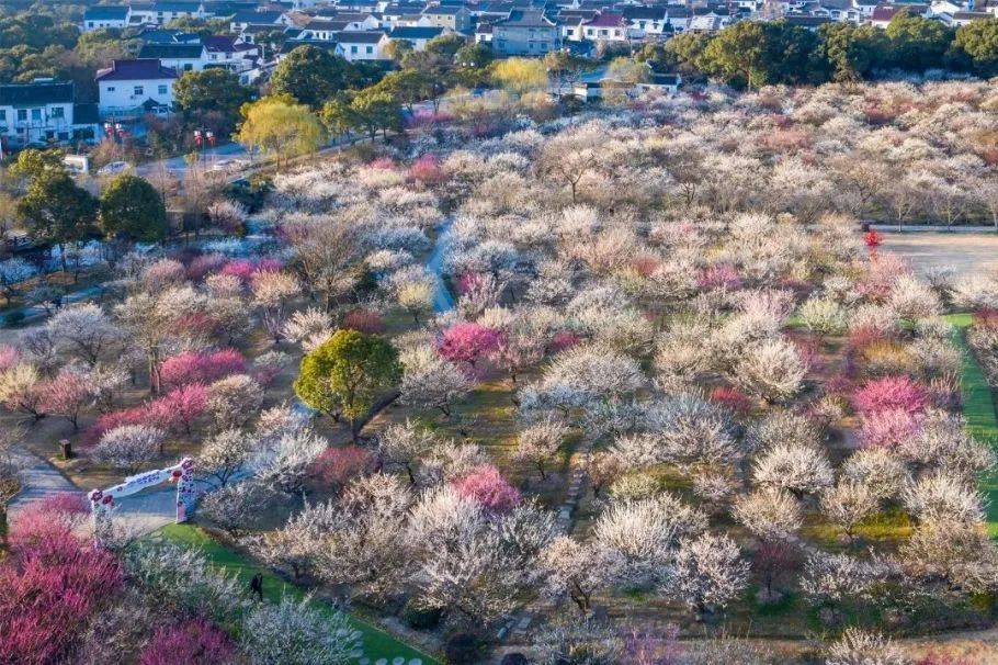 香雪海78注:三八妇女节期间(2024年3月8日-10日)景区施行女性门票