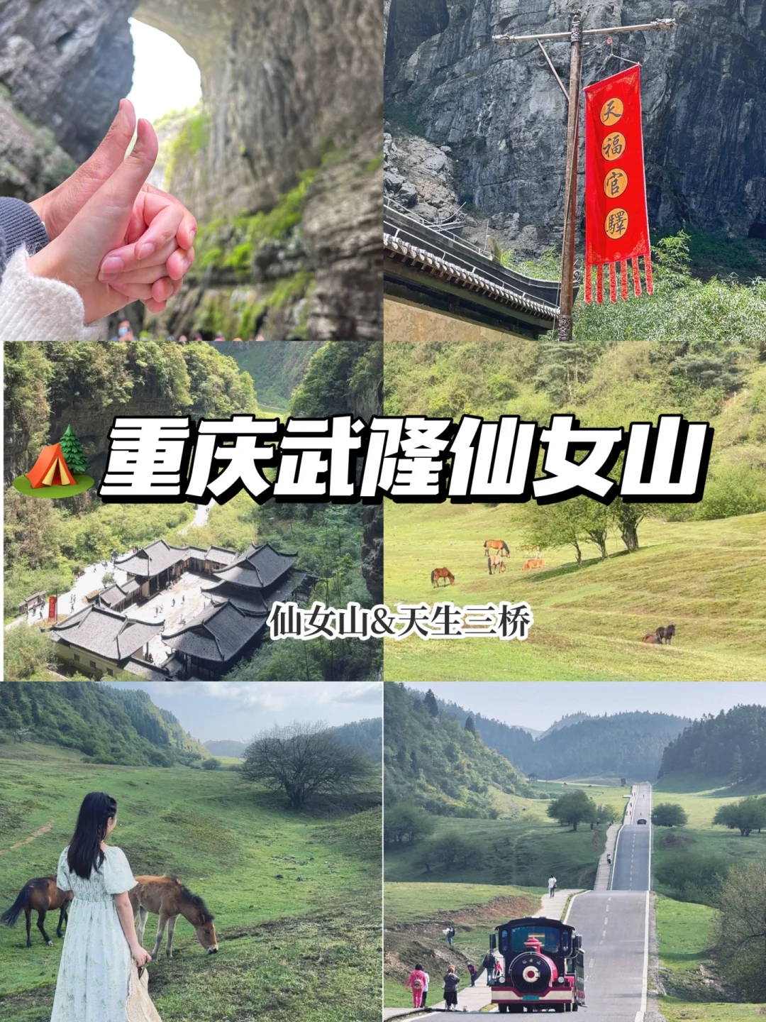 武隆仙女山景区简介图片