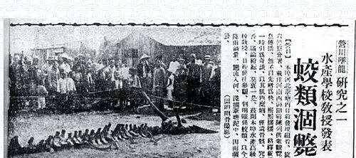 而后营口坠龙事件一直由当时的著名报刊《盛京日报》所报道.