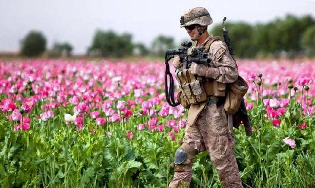 原创年产2000吨鸦片的金三角如何兴起又如何衰落诺康之死并非终结