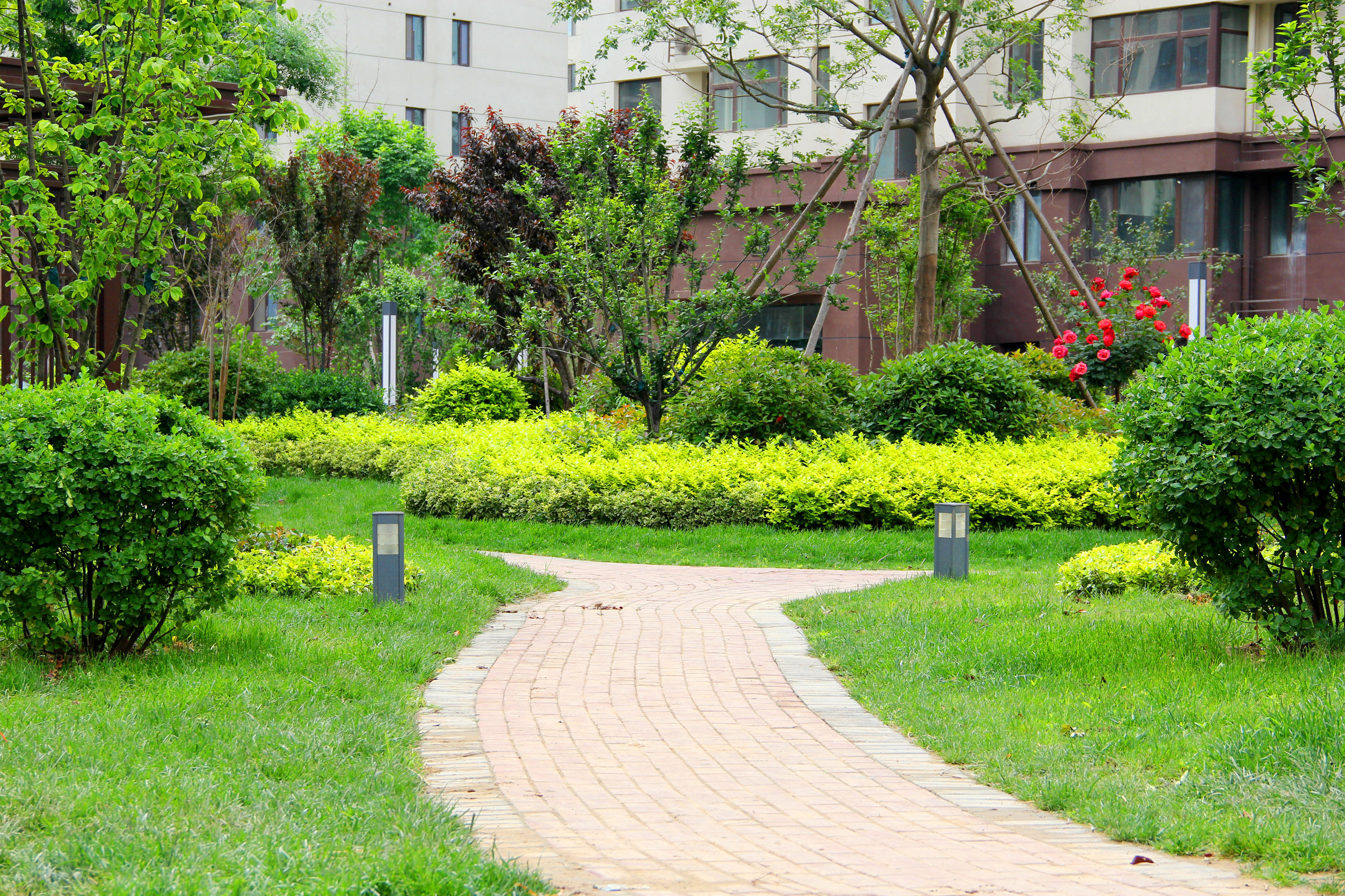 丽水湖梧桐苑小区内部赏析